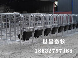整套定位欄