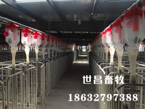 云南安裝現(xiàn)場(chǎng)