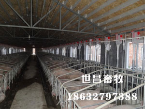 陜西安康安裝現(xiàn)場(chǎng)