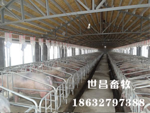 保定安裝現(xiàn)場(chǎng)
