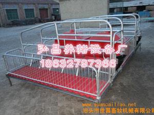 母豬產(chǎn)床