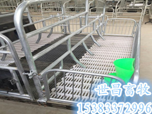 兩個位母豬產(chǎn)床