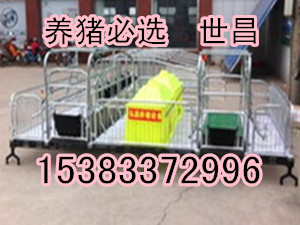 母豬雙體產床