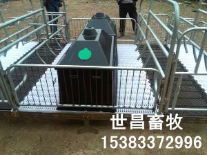 新型母豬雙體產(chǎn)床
