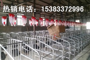 定位欄舍自動化上料