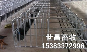 母豬定位欄廠(chǎng)家