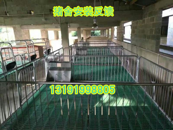 整體復合仔豬保育床育肥保育欄豬用