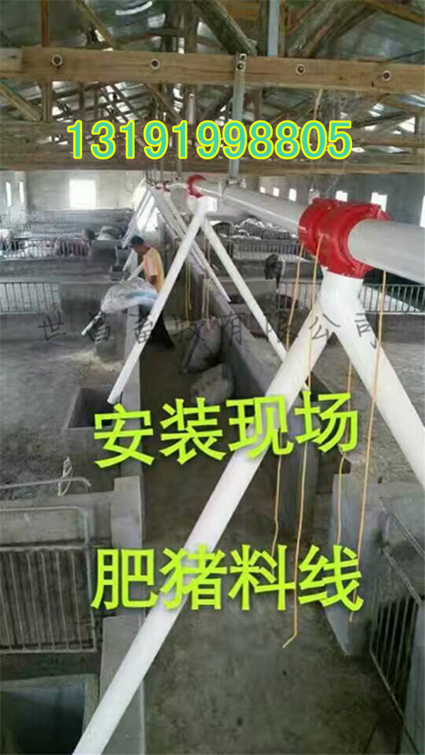 豬用料線設(shè)計(jì)廠家
