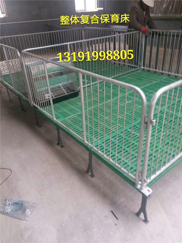 復(fù)合保育床 世昌畜牧產(chǎn)品