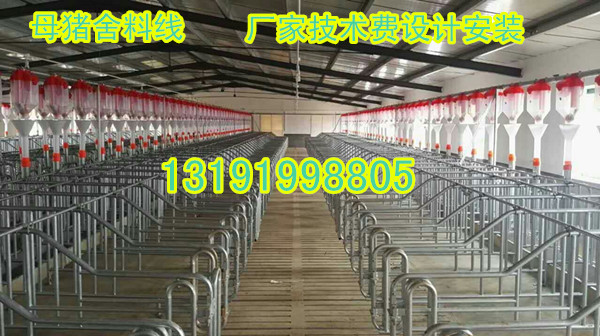 豬場(chǎng)自動(dòng)化上料系統(tǒng)