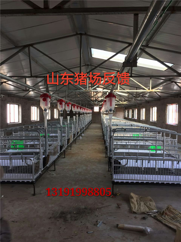 豬場(chǎng)自動(dòng)化下料線