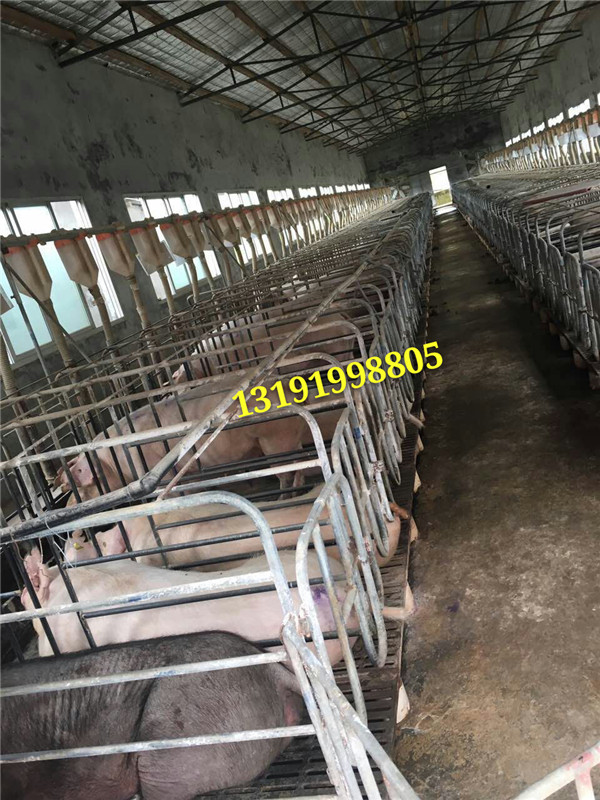 廠家直銷(xiāo)批發(fā)自動(dòng)化設(shè)備下料系統(tǒng)