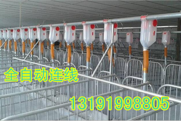 全自動(dòng)化豬場(chǎng)下料系統(tǒng)