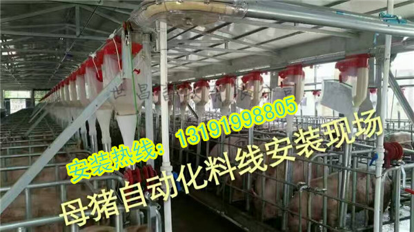自動(dòng)化下料系統(tǒng)