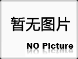 育肥豬自動化料線設(shè)計與安裝泊頭市世昌畜牧有限公司